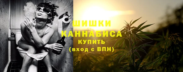 амф Аркадак