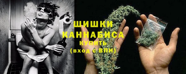 амф Аркадак