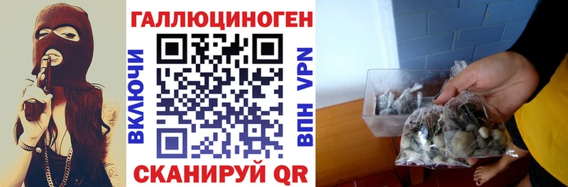 закладки  Минеральные Воды  Галлюциногенные грибы ЛСД 
